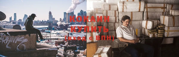 стафф Алексин