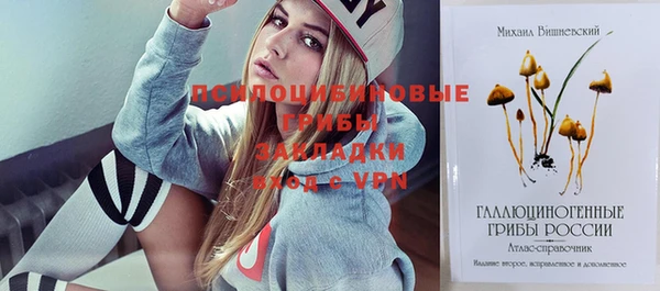 mix Алексеевка