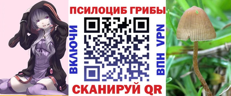 Галлюциногенные грибы Cubensis  Ипатово 