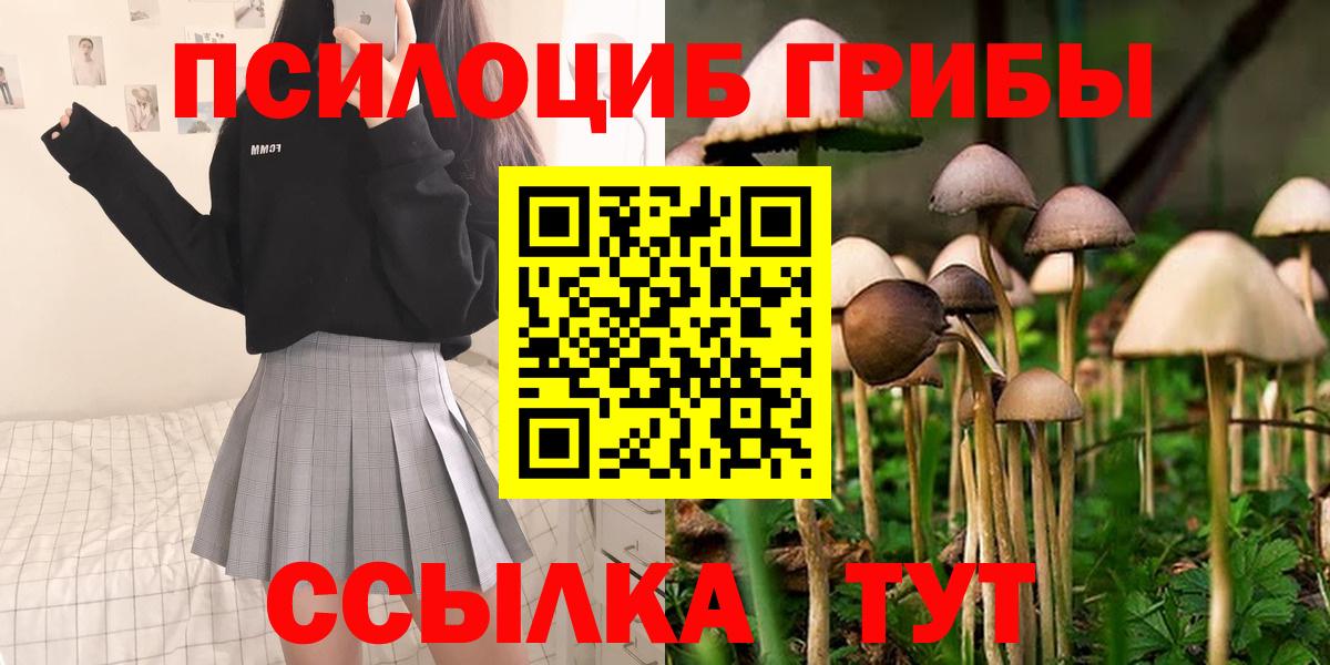 Ипатово  Псилоцибиновые грибы GOLDEN TEACHER  Вход с VPN 