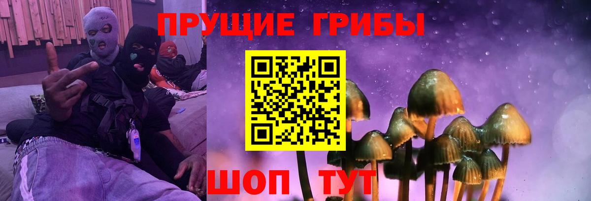 Галлюциногенные грибы Psilocybine cubensis Ипатово
